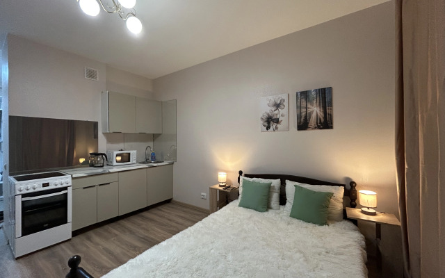 Квартира Студия на Московской