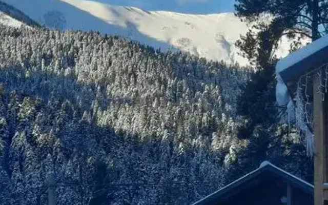 Shaudan Guest house