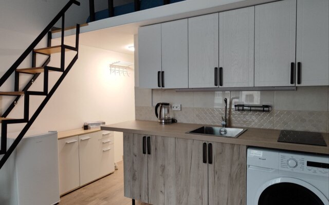 Апартаменты Лофт 2 на Генкиной