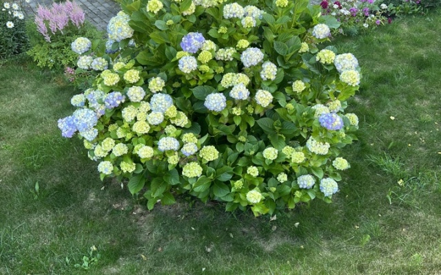 Квартира Цветочный Светлогорск