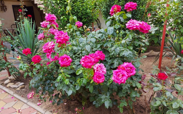 Morskaya 51 Guest House