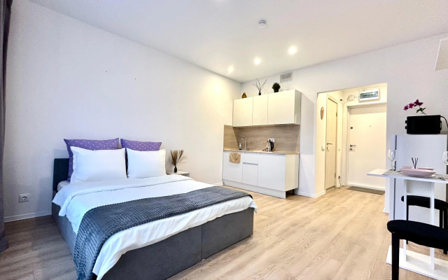 Апартаменты Истоман Студия вид на пруд