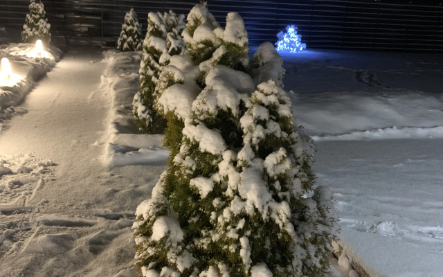 Вилла Sosna Igora House 1