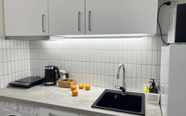 2-Komnatnaya U Moskovskogo Vokzala Flat