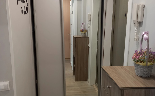 V Samom Tsentre Goroda Flat
