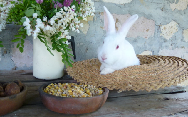 Country House Uliana Guest House