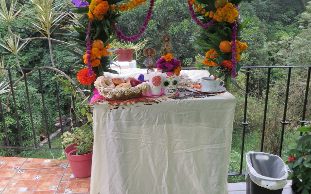 Отель Casa Verde Xilitla by Rotamundos