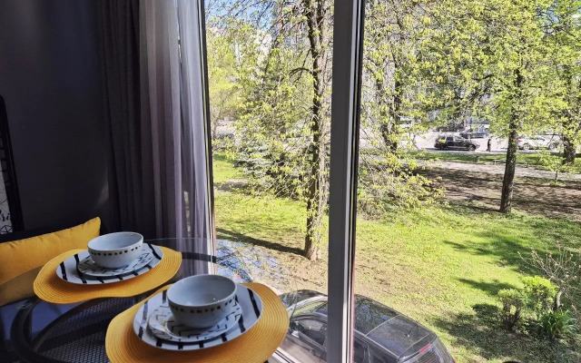 Odnokomnatnaya S Panoramnym Vidom Na Skver Flat