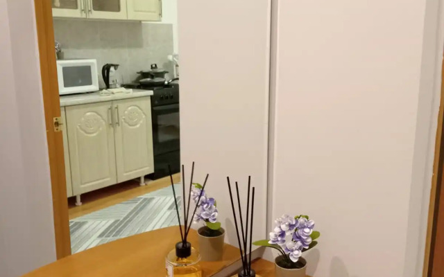 Uyutnaya Kvartira v Tsentre Goroda Flat