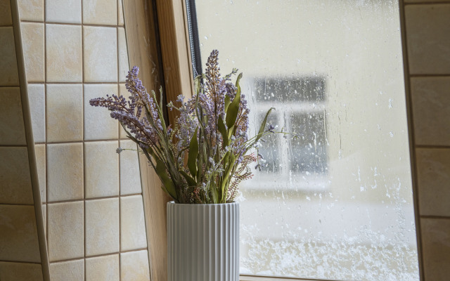 Апартаменты двухуровневые в тихом районе Амалиенау