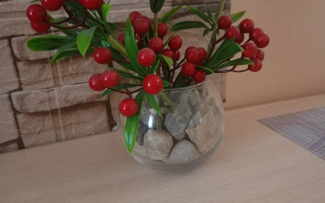 Апартаменты Аврора  четырехместный (id 122)