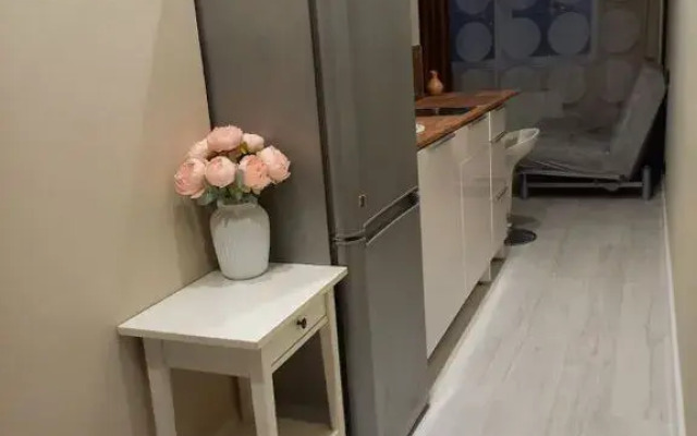 Krasnoarmeyskaya 19 Flat