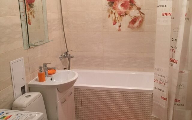 V Serdtse Goroda Kaliningrad Apartments