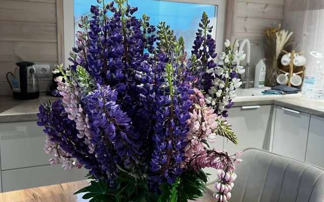 Частный дом Vremya Otdykha