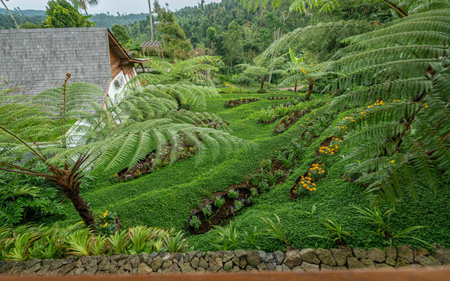 Resort Umah  Lusa Hotel