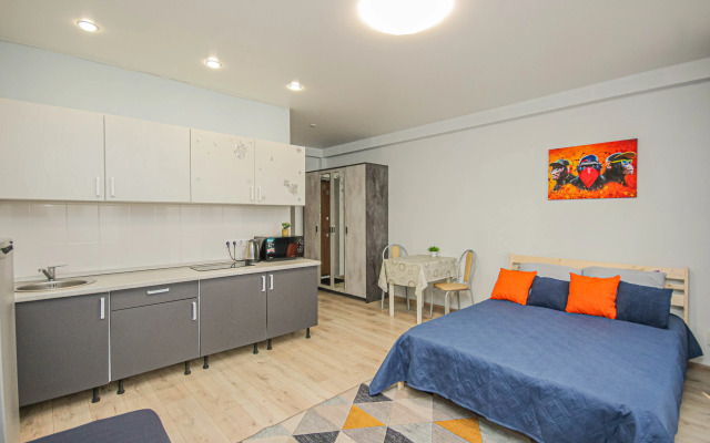 Квартира студия на Крылова 2Е