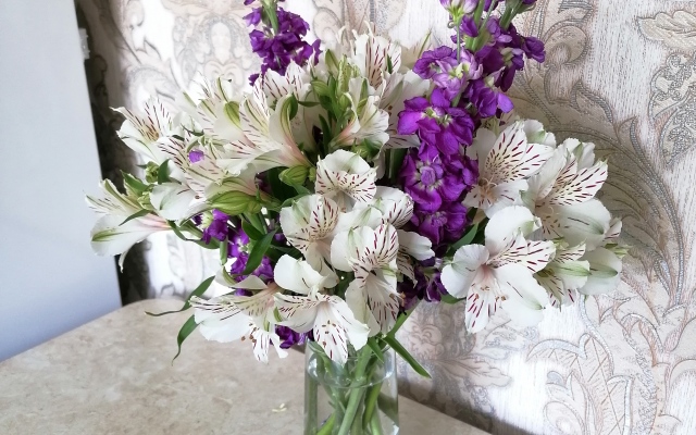 Uyutnoye Gnyozdyshko Flat