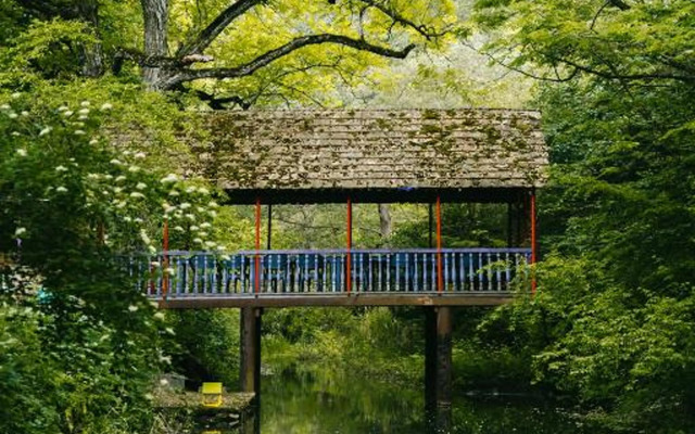 Hotel Gipsy Village