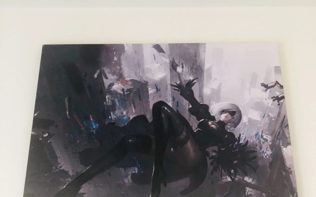 Апартаменты Cyber Tokyo Sinjyuku