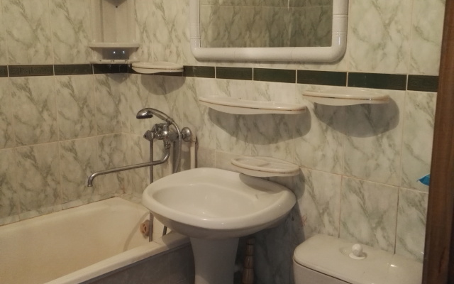 Na Dobralyubova Apartments