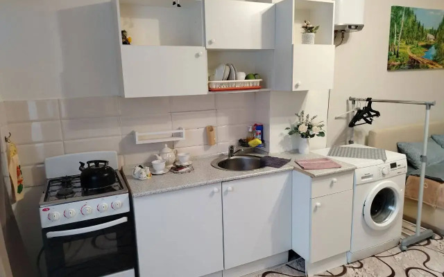 Uyutnoye Gnezdyshko V Tsentre Flat