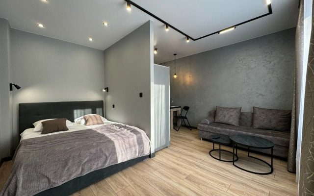 Uyutnaya Studiya v Tsentre Goroda Apartment