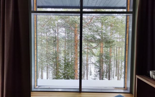 Мини-отель Зелёный Бор