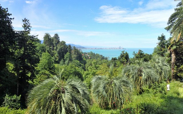 TG Wild Beach & Pool Chakvi Apartment hotel