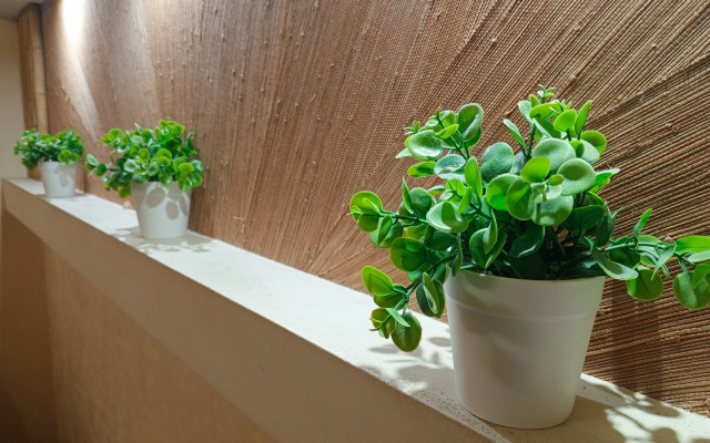 Квартира Александрова, 2(4)