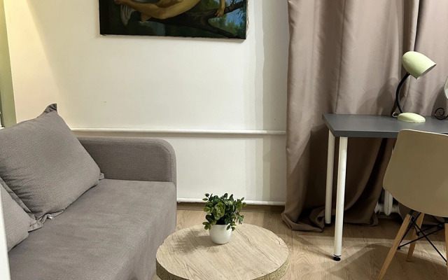 1-Komnatnaya V Tsentre Goroda Flat