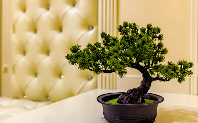 Апартаменты Elite в центре рядом с парком апарт-отель "Вернисаж"