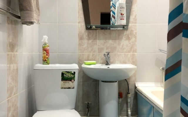 Квартира на Профессиональной 22