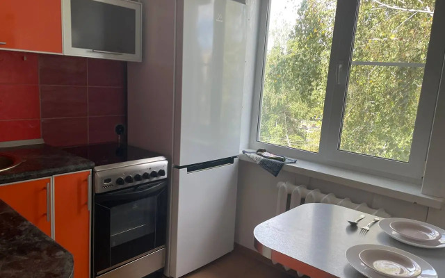 Akademgorodok Ngu Flat