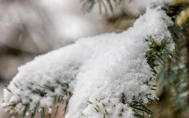 Апартаменты у Парка Галицкого