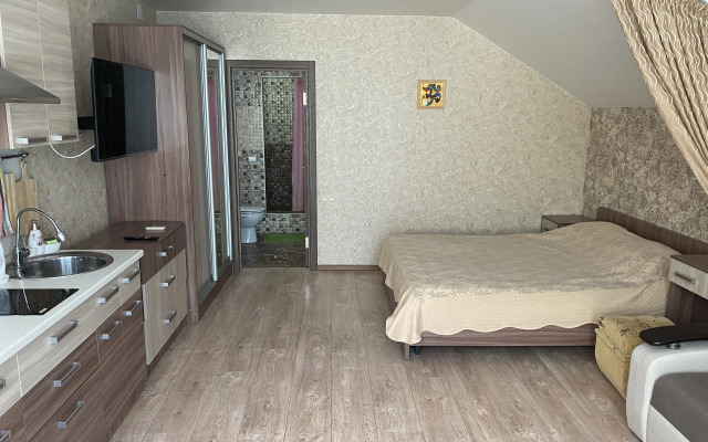 Studiya S Basseynom I Zonoy Dlya Barbekyu Apartments