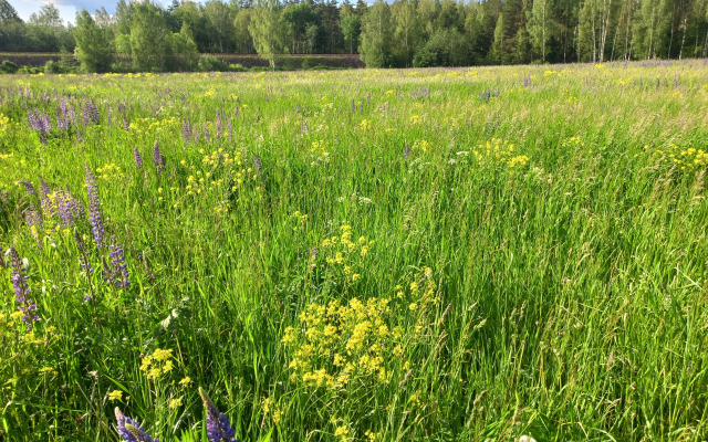 Частный дом Речная Заимка