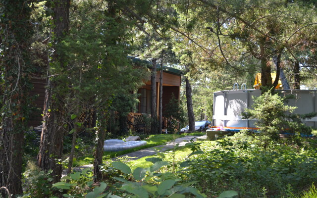 Lodge Altai Recreation center