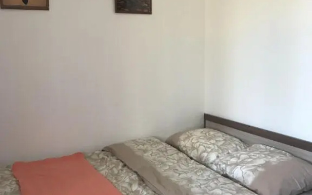 Studii U Biblioteki 4 Flat