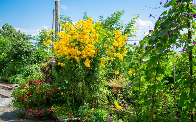 Отель 4 Rooms Boutique