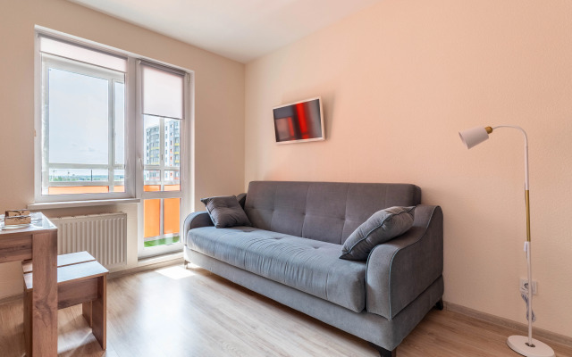 Uyutnaya V Zelyonom Pushkinskom Rajone Flat