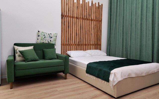 Green Room Serednevo Flat