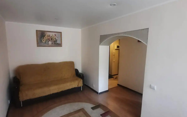 Uyutnaya V Tsentre Flat