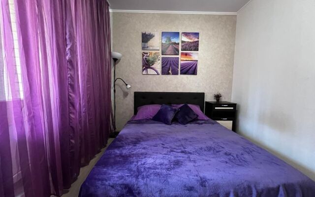 Na Ulitse Dmitriya Mikhaylova 2 - Lavanda Flat