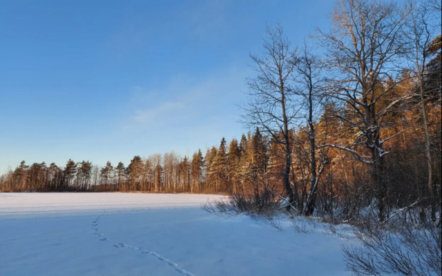 Эко Апартаменты с Внутренним Двориком