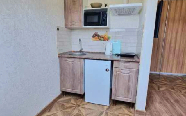 Studia na Pionerskom Apartments