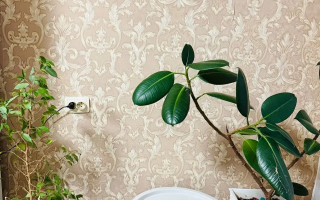 Квартира 3-х Комнатная на Галкина 23