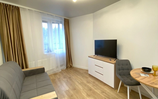 Uyutnaya Studiya v Lomonosove Apartments