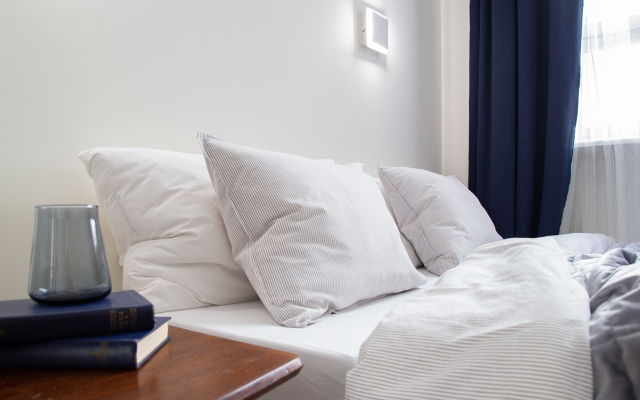 Видовая квартира у Эрмитажа