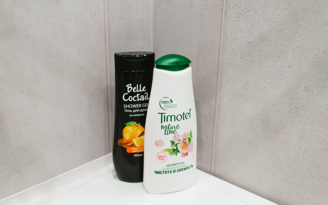 Апартаменты на Максима Горького 2A