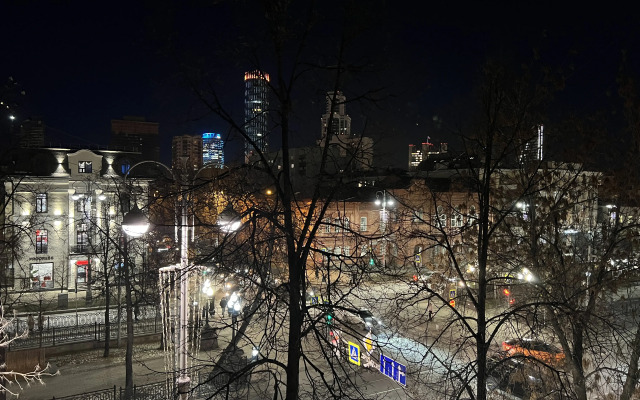 Квартира в самом центре города на проспекте Ленина